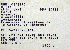  ( - RRS 539)  @11 [ ] CreativeCommons - Attribution (2010) Unspecified Royal Ontario Museum