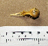  ( - JGS 1202)  @12 [ ] CreativeCommons - Attribution (2010) Unspecified Royal Ontario Museum