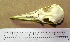  ( - AJB 5527)  @12 [ ] CreativeCommons - Attribution (2010) Unspecified Royal Ontario Museum