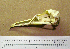  ( - AJB 5527)  @12 [ ] CreativeCommons - Attribution (2010) Unspecified Royal Ontario Museum