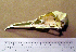  ( - RRS 165)  @12 [ ] CreativeCommons - Attribution (2010) Unspecified Royal Ontario Museum