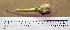 ( - AJB 5526 SM)  @12 [ ] CreativeCommons - Attribution (2010) Unspecified Royal Ontario Museum