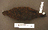  ( - 1B-156)  @13 [ ] Unspecified (default): All Rights Reserved  Unspecified Unspecified