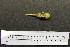  ( - AJB 5644)  @12 [ ] CreativeCommons - Attribution (2010) Unspecified Royal Ontario Museum