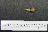  ( - AJB 5634)  @11 [ ] CreativeCommons - Attribution (2010) Unspecified Royal Ontario Museum