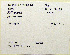  (Psilopogon pyrolophus - 1B-1637)  @12 [ ] CreativeCommons - Attribution (2010) Unspecified Royal Ontario Museum