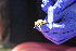  (Atelopus flavescens - PV-BIO-0166)  @11 [ ] CreativeCommons  Attribution (by) (2023) Karla Pozo Barrick Pueblo Viejo