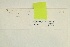  ( - CCDB-25686-B12)  @11 [ ] CreativeCommons - Attribution (2018) Masha L. Kuzmina Centre for Biodiversity Genomics