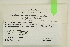  ( - CCDB-25687-C11)  @11 [ ] CreativeCommons - Attribution Non-Commercial Share-Alike (2018) Masha L. Kuzmina Canadian Centre for DNA Barcoding