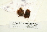  ( - CCDB-25687-D08)  @11 [ ] CreativeCommons - Attribution Non-Commercial Share-Alike (2018) Masha L. Kuzmina Canadian Centre for DNA Barcoding