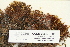  ( - CCDB-25687-D12)  @11 [ ] CreativeCommons - Attribution Non-Commercial Share-Alike (2018) Masha L. Kuzmina Canadian Centre for DNA Barcoding