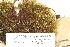  ( - CCDB-25687-F05)  @11 [ ] CreativeCommons - Attribution Non-Commercial Share-Alike (2018) Masha L. Kuzmina Canadian Centre for DNA Barcoding