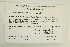  ( - CCDB-25687-F05)  @11 [ ] CreativeCommons - Attribution Non-Commercial Share-Alike (2018) Masha L. Kuzmina Canadian Centre for DNA Barcoding