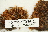  ( - CCDB-25687-H01)  @11 [ ] CreativeCommons - Attribution Non-Commercial Share-Alike (2018) Masha L. Kuzmina Canadian Centre for DNA Barcoding