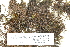  ( - CCDB-25688-B02)  @11 [ ] CreativeCommons - Attribution Non-Commercial Share-Alike (2018) Masha L. Kuzmina Canadian Centre for DNA Barcoding