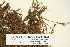  ( - CCDB-25688-H02)  @11 [ ] CreativeCommons - Attribution Non-Commercial Share-Alike (2018) Masha L. Kuzmina Canadian Centre for DNA Barcoding