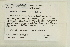  ( - CCDB-25688-H02)  @11 [ ] CreativeCommons - Attribution Non-Commercial Share-Alike (2018) Masha L. Kuzmina Canadian Centre for DNA Barcoding