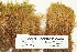  ( - CCDB-25695-A10)  @11 [ ] CreativeCommons - Attribution Non-Commercial Share-Alike (2018) Masha L. Kuzmina Canadian Centre for DNA Barcoding
