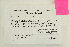  ( - CCDB-25695-A10)  @11 [ ] CreativeCommons - Attribution Non-Commercial Share-Alike (2018) Masha L. Kuzmina Canadian Centre for DNA Barcoding