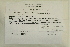  (Amphidium lapponicum - CCDB-25695-G07)  @11 [ ] CreativeCommons - Attribution Non-Commercial Share-Alike (2018) Masha L. Kuzmina Canadian Centre for DNA Barcoding