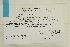  ( - CCDB-25695-H07)  @11 [ ] CreativeCommons - Attribution Non-Commercial Share-Alike (2018) Masha L. Kuzmina Canadian Centre for DNA Barcoding