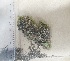  ( - JimenezIBOL26)  @11 [ ] Copyright (2019) IBONE IBONE