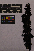  ( - UBC-B-B181946)  @11 [ ] (by-nc) (2025) Unspecified University of British Columbia Herbarium