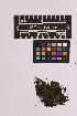  ( - UBC-B-B230901)  @11 [ ] (by-nc) (2025) Unspecified University of British Columbia Herbarium