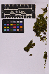  ( - UBC-B-B231467)  @11 [ ] (by-nc) (2025) Unspecified University of British Columbia Herbarium