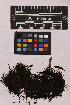  ( - UBC-B-B36432)  @11 [ ] (by-nc) (2025) Unspecified University of British Columbia Herbarium