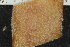  ( - ZMBN_120522)  @11 [ ] CreativeCommons - Attribution Non-Commercial Share-Alike (2017) University of Bergen Natural History Collections