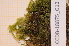  ( - CCDB-18875_G12)  @11 [ ] CreativeCommons - Attribution Non-Commercial Share-Alike (2013) NTNU Museum of Natural History and Archaeology NTNU Museum of Natural History and Archaeology