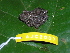  ( - AJC_2007)  @14 [ ] CreativeCommons - Attribution Non-Commercial Share-Alike (2010) Unspecified Smithsonian Tropical Research Institute