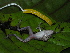  ( - AJC_2010)  @13 [ ] CreativeCommons - Attribution Non-Commercial Share-Alike (2010) Unspecified Smithsonian Tropical Research Institute