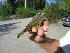  ( - MKNO 2161 21871)  @11 [ ] Copyright (2010) Unspecified Unspecified