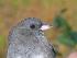  ( - MKNO 2400 02235)  @13 [ ] Copyright (2010) Unspecified Unspecified