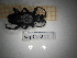  ( - SapCol211)  @11 [ ] CreativeCommons Attribution (2025) Dept Invertebrate Zoology and Hydrobiology, University of Lodz University of Lodz