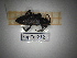  ( - SapCol212)  @11 [ ] CreativeCommons Attribution (2025) Dept Invertebrate Zoology and Hydrobiology, University of Lodz University of Lodz