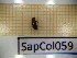  ( - SapCol059)  @11 [ ] CreativeCommons Attribution (2025) Dept Invertebrate Zoology and Hydrobiology, University of Lodz University of Lodz