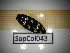  ( - SapCol043)  @11 [ ] CreativeCommons Attribution (2025) Dept Invertebrate Zoology and Hydrobiology, University of Lodz University of Lodz