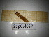  ( - SapCol067)  @11 [ ] CreativeCommons Attribution (2025) Dept Invertebrate Zoology and Hydrobiology, University of Lodz University of Lodz