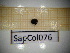  ( - SapCol076)  @11 [ ] CreativeCommons Attribution (2025) Dept Invertebrate Zoology and Hydrobiology, University of Lodz University of Lodz