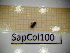  ( - SapCol100)  @11 [ ] CreativeCommons Attribution (2025) Dept Invertebrate Zoology and Hydrobiology, University of Lodz University of Lodz
