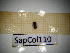  ( - SapCol110)  @11 [ ] CreativeCommons Attribution (2025) Dept Invertebrate Zoology and Hydrobiology, University of Lodz University of Lodz