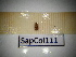  ( - SapCol111)  @11 [ ] CreativeCommons Attribution (2025) Dept Invertebrate Zoology and Hydrobiology, University of Lodz University of Lodz