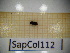  ( - SapCol112)  @11 [ ] CreativeCommons Attribution (2025) Dept Invertebrate Zoology and Hydrobiology, University of Lodz University of Lodz