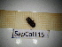  ( - SapCol115)  @11 [ ] CreativeCommons Attribution (2025) Dept Invertebrate Zoology and Hydrobiology, University of Lodz University of Lodz