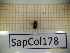  ( - SapCol178)  @11 [ ] CreativeCommons Attribution (2025) Dept Invertebrate Zoology and Hydrobiology, University of Lodz University of Lodz