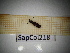  ( - SapCol218)  @11 [ ] CreativeCommons Attribution (2025) Dept Invertebrate Zoology and Hydrobiology, University of Lodz University of Lodz