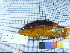  ( - stri-21251)  @13 [ ] Unspecified (default): All Rights Reserved  Unspecified Unspecified